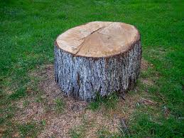 Best Emergency Tree Removal  in Frankston, TX