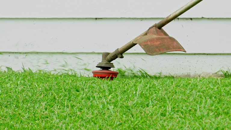 Best Soil Testing and Treatment  in Frankston, TX