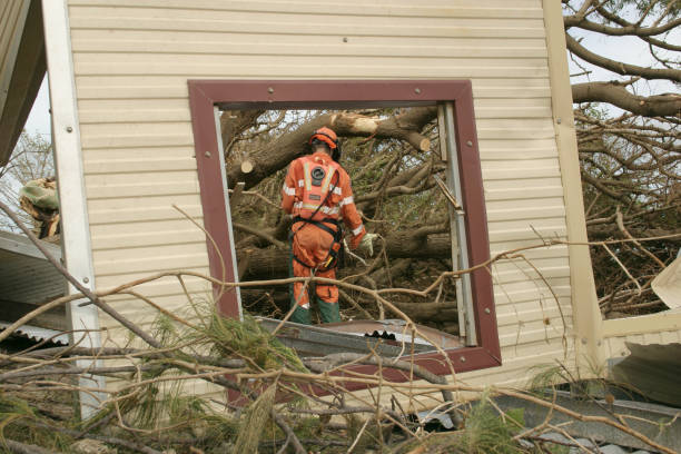 Best Stump Grinding and Removal  in Frankston, TX