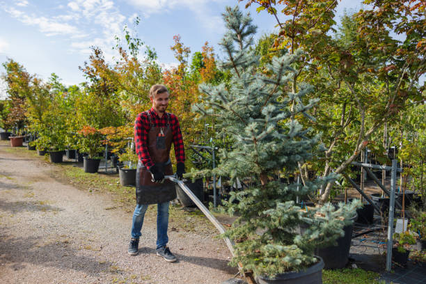 Best Commercial Tree Services  in Frankston, TX